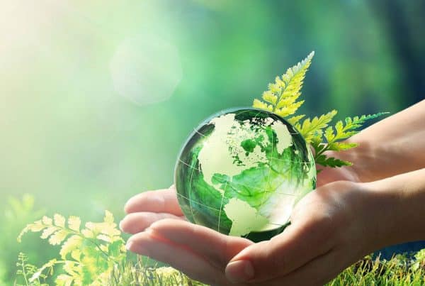 invest4land--out--role--in---the--world--