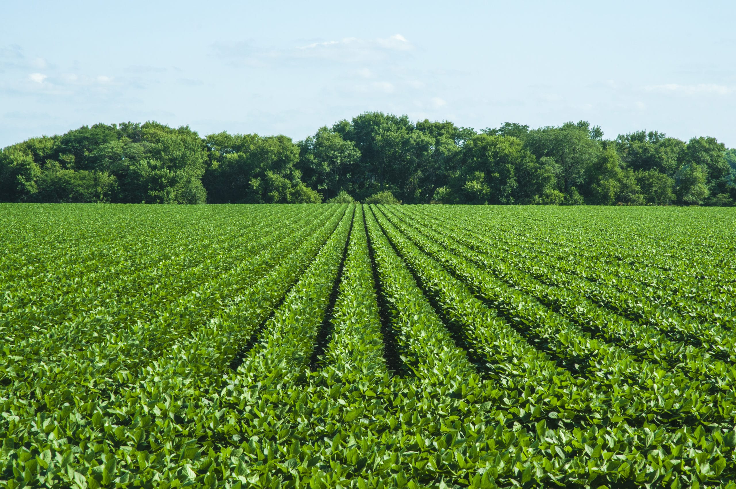 agricultural investment