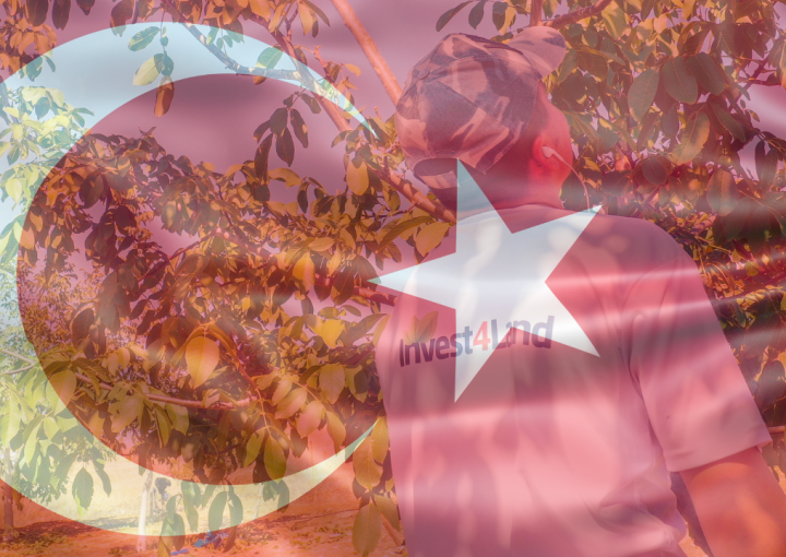 Exploring Agriculture Investment Opportunities in Turkey-invest4land