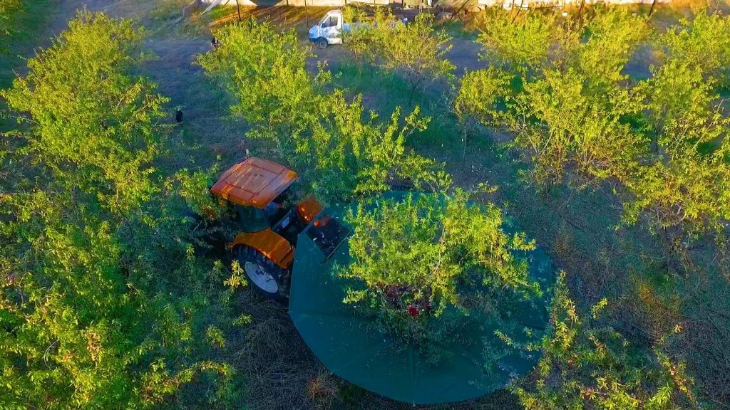 Agricultural and Farmland Investment in Turkey Invest4land