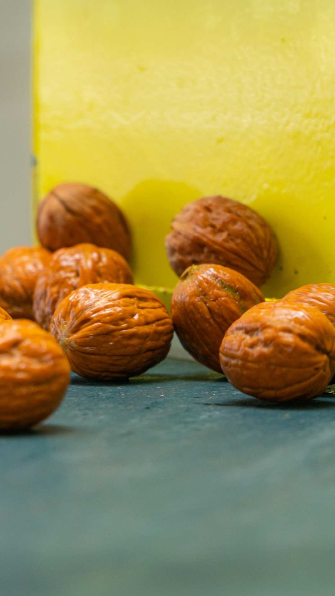 Invest4Land Spain Turkey Agriculture Invest Investment Farmland Walnut Almond Free Range Eggs Chicken Agroforestry Livestock Honey Minimum Investment 1