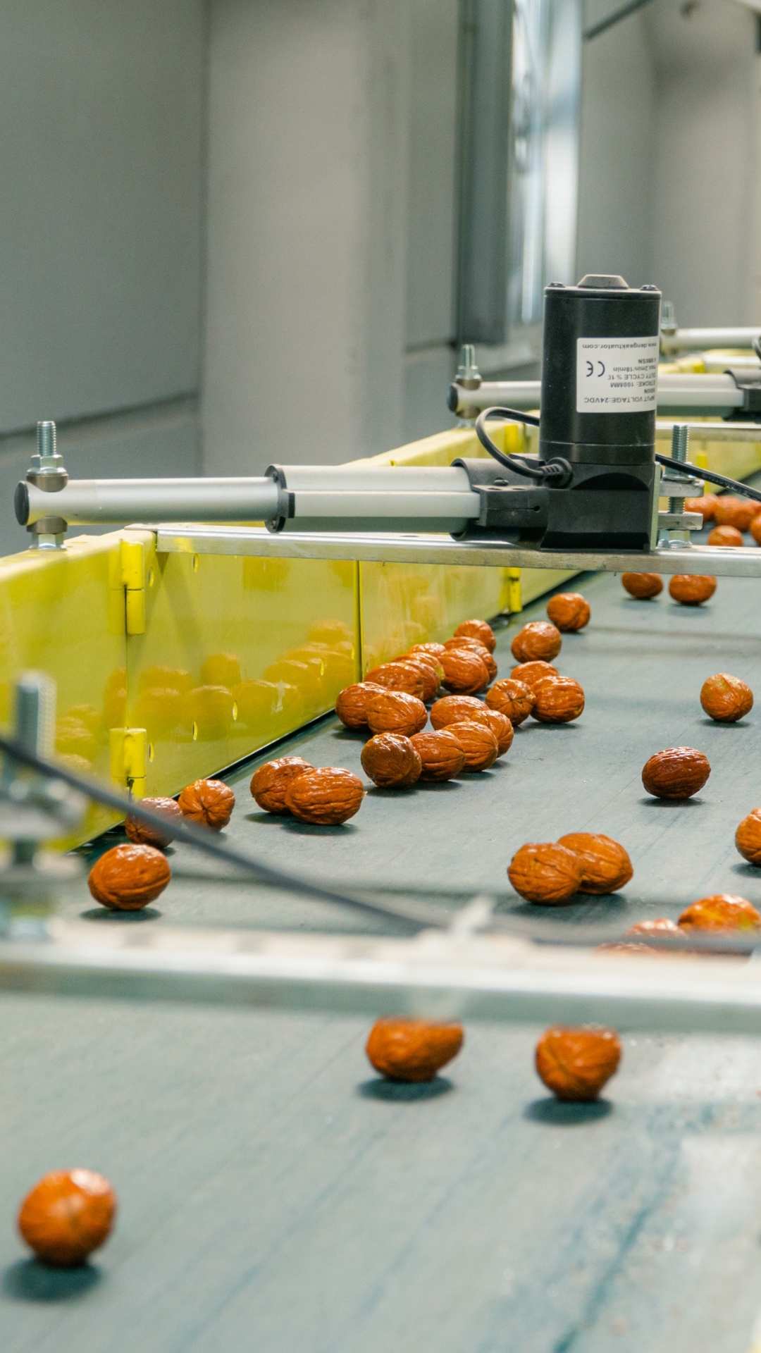 Invest4Land Spain Turkey Agriculture Invest Investment Farmland Walnut Almond Free Range Eggs Chicken Agroforestry Livestock Honey Minimum Investment 2 (1)