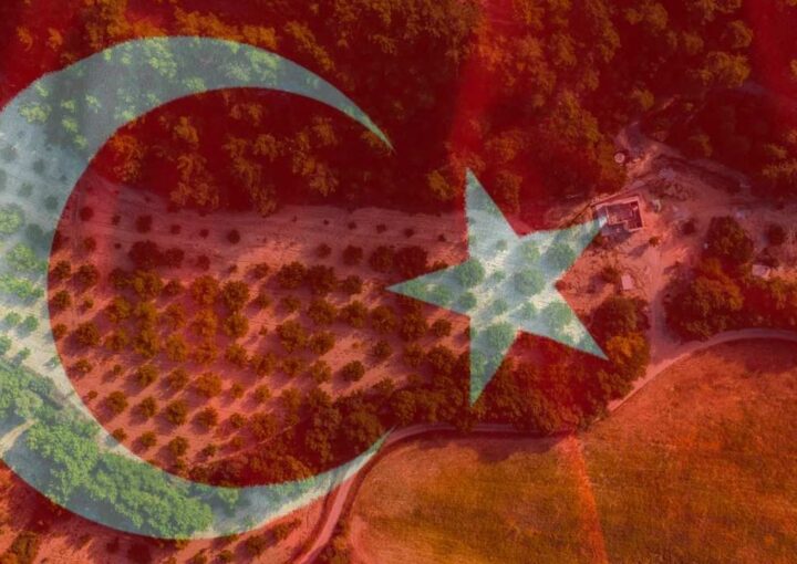 Invest in Turkey: A Treasure House for Agriculture Investment