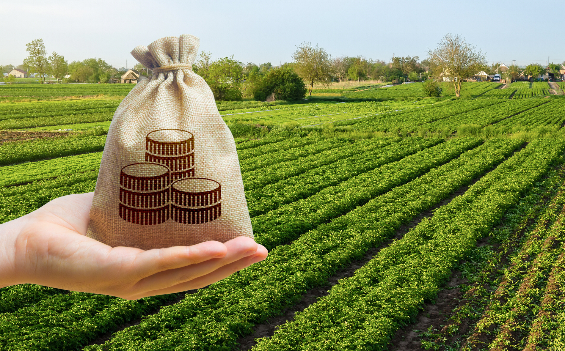 Nurturing Wealth: Exploring Agri Farmlands Investment Opportunities