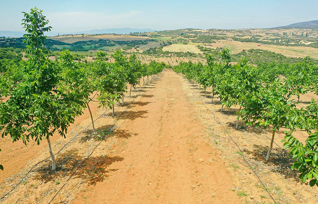 The Power of Raw Land Investing