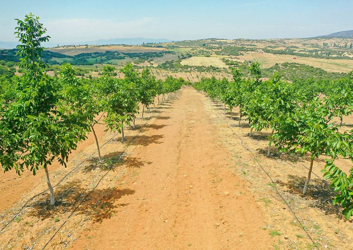 The Power of Raw Land Investing