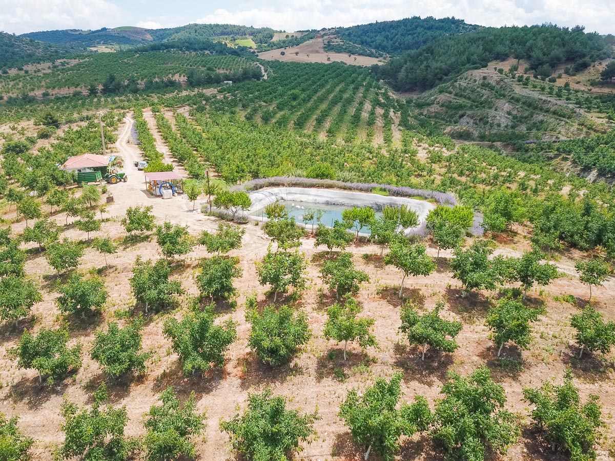 Farm Diversification -invest4land