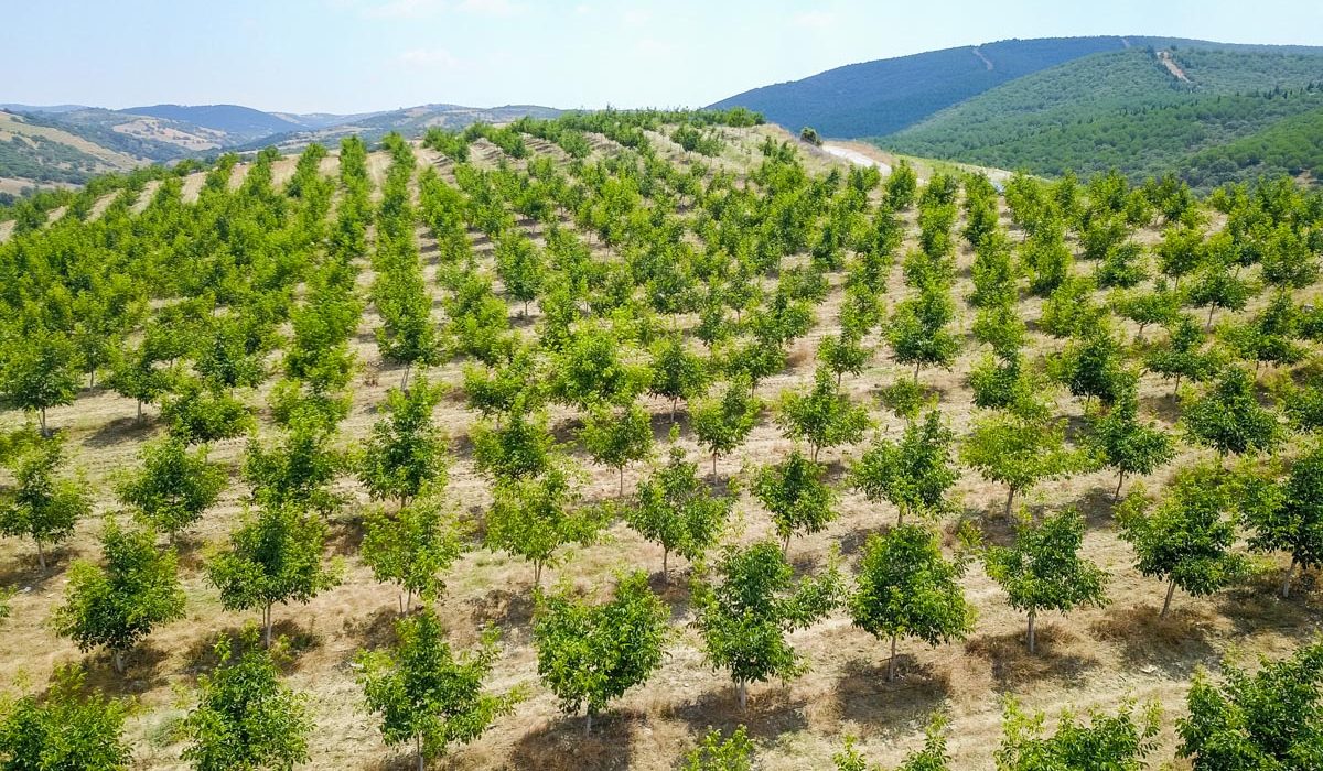 Farm Diversification -invest4land