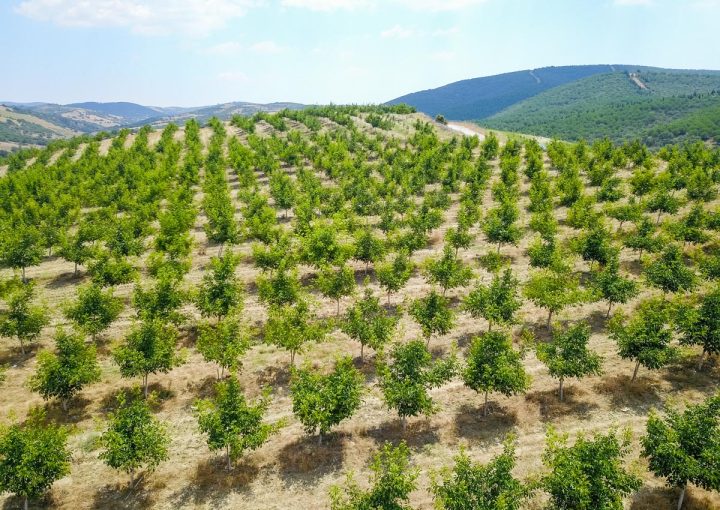 Farm Diversification -invest4land