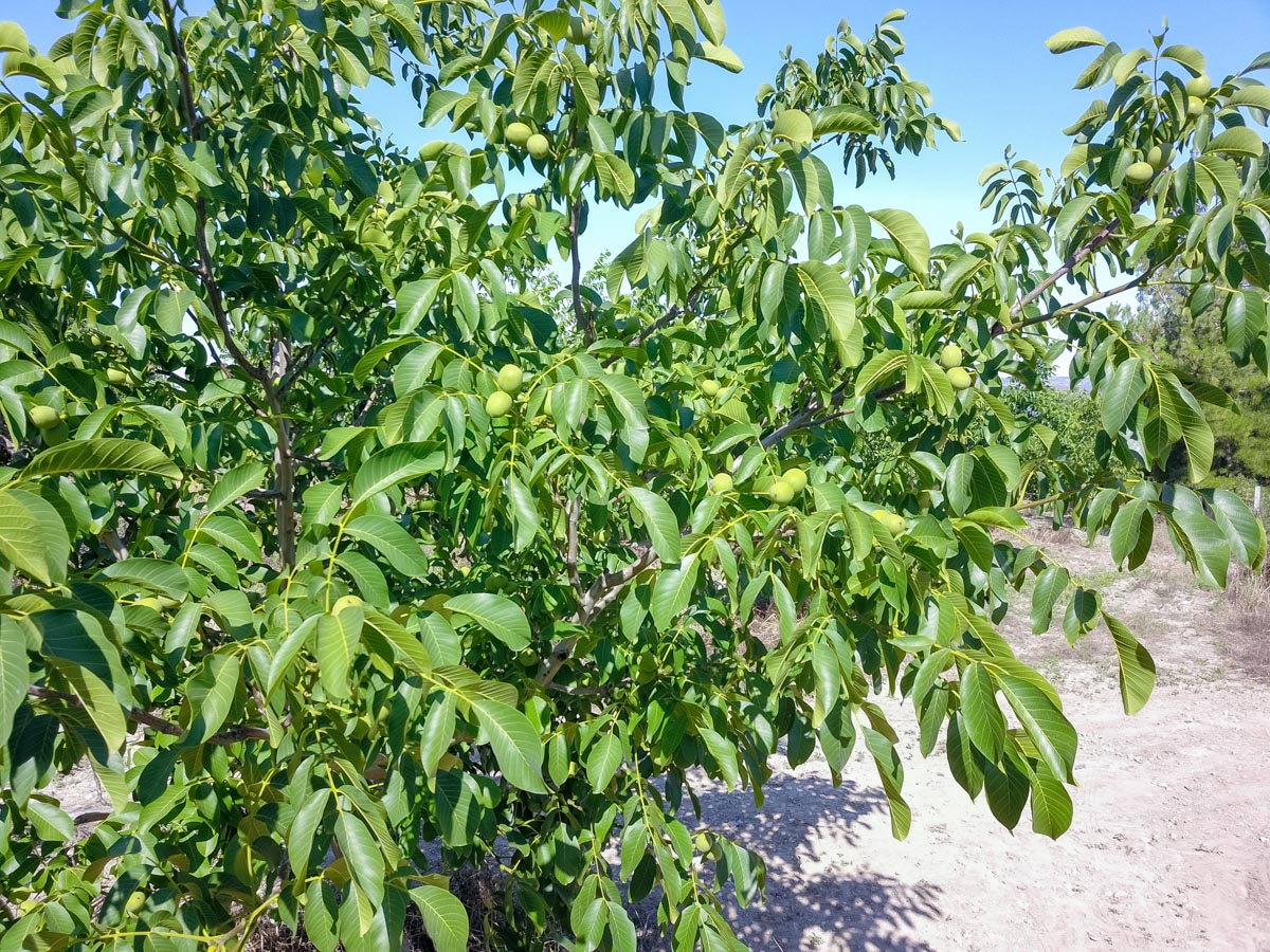 Farm Diversification -invest4land