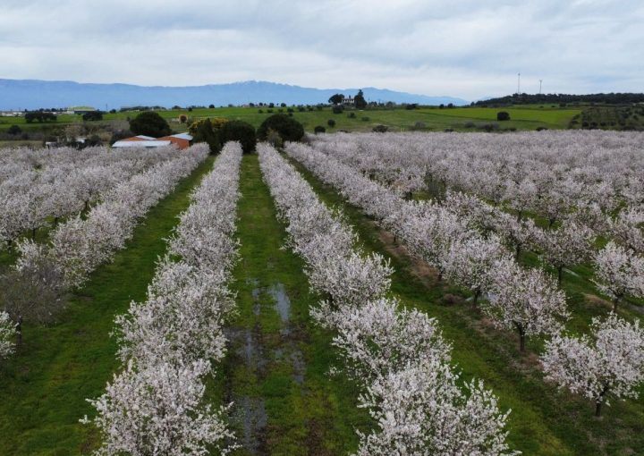 -farmland-invest4land-my-spain-farmland-spain